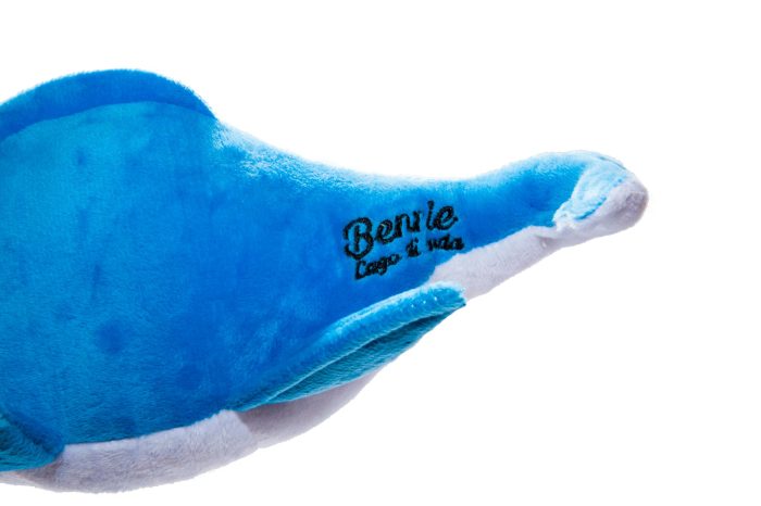 Bennie-coda il mostro del lago di Garda - Bthemonster.com