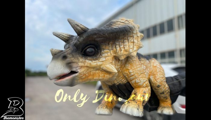 Realistic False Arm Baby Triceratops Dino Puppet in vendita sul Bthemonster.com