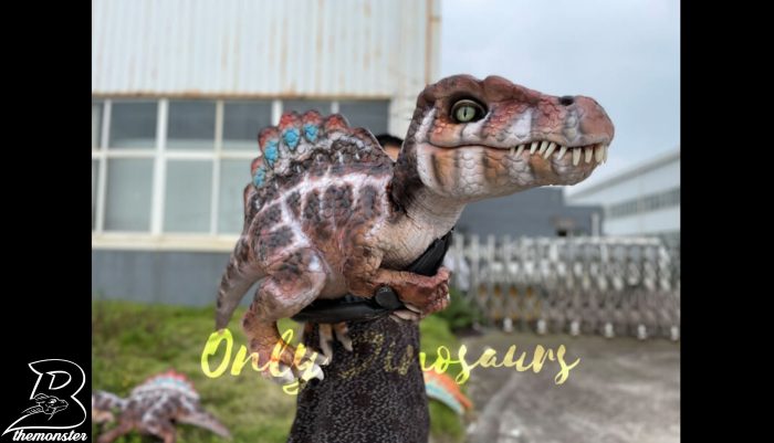 Adorable Baby Spinosaurus False Arm Puppet in vendita sul Bthemonster.com