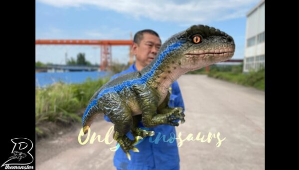 Adorable Jurassic Park Dino Raptor Hand Puppet in vendita sul Bthemonster.com